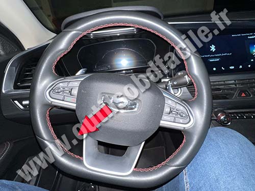 Geely FY11 - Steering wheel